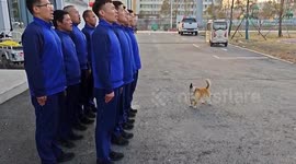 Talented dog joins squad singing sessions in eastern China