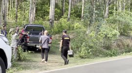 Pregnant buffalo saved from slaughterhouse gores owner in Thailand