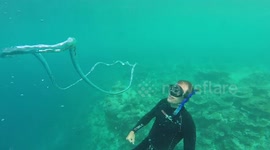 Diver performs cool bubble trick underwater