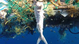 Underwater footage of a huge abandoned fishing net in the ocean