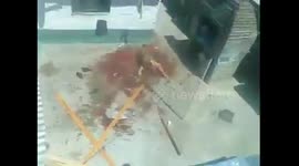 Pitbull enloquece y ataca a su dueño-Pitbull berserk and attacked its owner