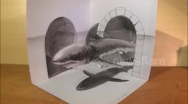 Great White Shark, Trick Art in 3D, Drawing an Amazing Animal, by Vamos