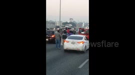 Dog on the loose stops traffic on a motorway