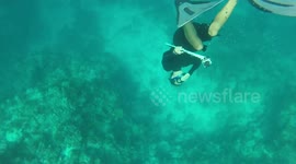 Diver performs cool bubble trick underwater