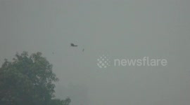 The brahminy kite on Haze