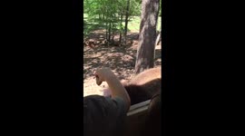 Safari 1