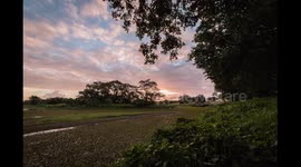 Minnippi Parklands Sunset