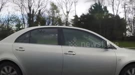 Woman texting while driving the M1 Ireland