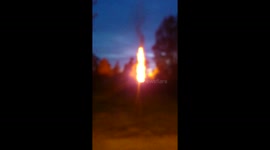 Burning Forest