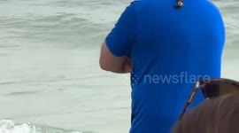 Shocking moment large shark is caught by fishing line on Florida beach