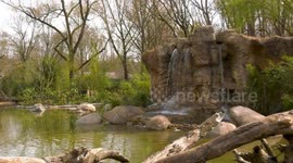 Otters and monkeys among species to enjoy new £1.2m enclosure at Berlin Zoo