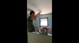 Resort owner doing DIY finds bee hive honeycomb in ceiling