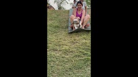 Sisters use camping mattress to slide down grassy hill with puppy