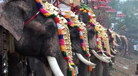 Biggest convergence of gods and goddesses in the world with over 60 elephants parading