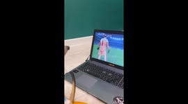 Meerkat Messi fan cheers on Argentina's World Cup win