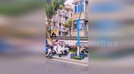 Deliveryman climbs on fence wall to deliver female customer's order