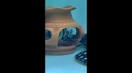 Turtle makes clever escape from stingray