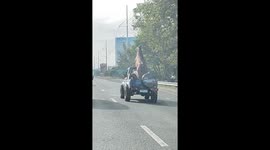 Pet dog rides alongside giant horse statue in pickup truck