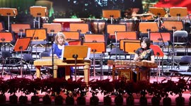 Chinese dulcimer, Hungarian cimbalom are witnesses of cultural exchanges: Hungarian artist