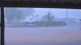 Tree falls onto motorist during storm in Thailand