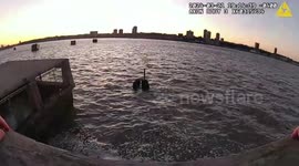 NYPD Officer's Heroic Dive Saves Woman from Frigid Hudson River in New York, USA