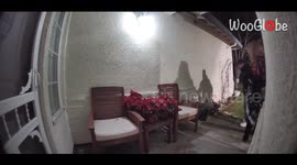 CCTV camera captures husband and wife falling for each other all over again... LITERALLY!