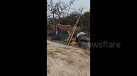 Kitty Caught Stealing Sausages in Chongqing, China