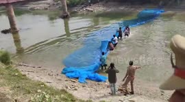 Dolphin rescued after getting stuck in canal in north India