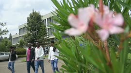 China-Africa cooperation empowers youths for mutual growth