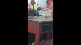 Cat captivated by lizard game on phone screen