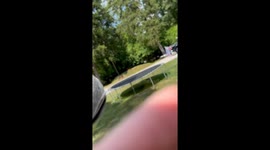 Americans Feel Freedom Banger Firework