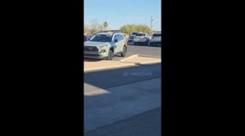 Bees Swarm SUV in Parking Lot
