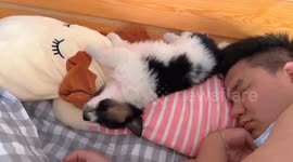 Dog's unintentional surprise for sleeping owner in China