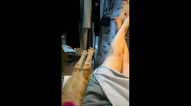 Cat cutely copies owner's leg stretching