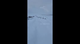 Dog walker amazed as heavy snow fell on Dartmoor overnight