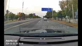 Dramatic moment pig fell from truck into live traffic