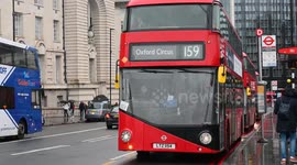 Multiple buses by St Thomas's Hospital, London, United Kingdom