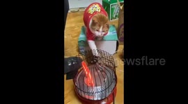Clever Cat Pulls Heater Closer to Enjoy Warmth in Guangxi, China