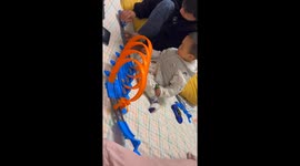 Speedy toy train earns toddler's attention and surprise cheers
