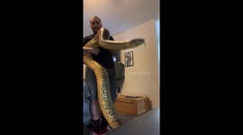 Man casually plays with anaconda at home after bath time