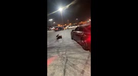 Escape practice goes horribly wrong as car sends man flying