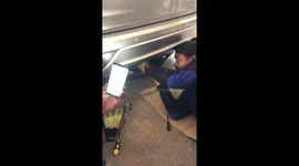 Firemen remove kitten stuck inside car
