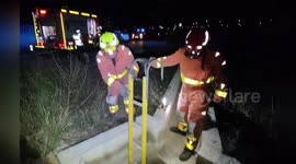 Rescue Operation Saves Injured Cat Trapped in Pipe in Valencia Municipality, Spain