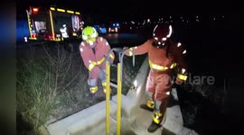 Firemen save cat stuck in sewer in Spain