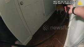K9 Unit Tracks Down Suspect Concealed Behind Secret Door in Seffner, USA