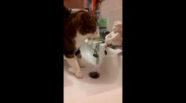 How to drink water like a boss