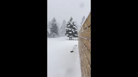 Spring Storm Delivers Heavy Snow in San Bernardino Mountains