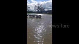 UK: Storm Nelson Brings Heavy Rains, Flooding To Parts Of Wales