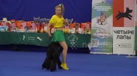 Annual pet show held in Russia's St. Petersburg