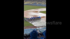 US: Dodgers Vs. Cardinals Game Temporarily Suspended Due To Heavy Rain